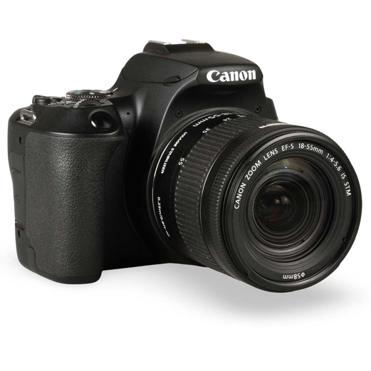 Câmera DSLR Canon EOS Rebel SL3 com lente 18-55mm IS STM - USADO