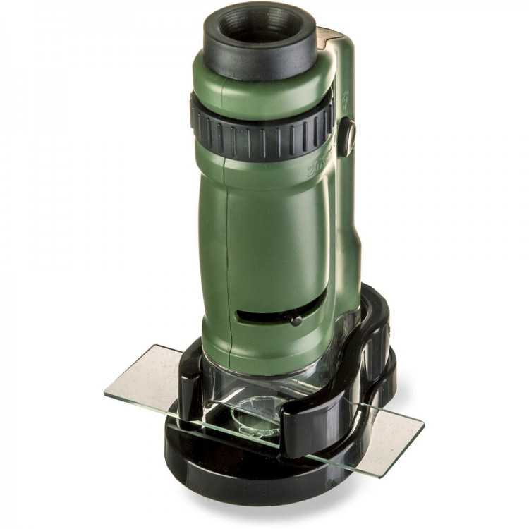 Microscópio de bolso Carson MM-24 MicroBrite (20 a 40x de ampliação)