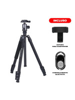 Tripé Manfrotto BeFree Advanced Fibra de carbono com cabeça de esfera (MKBFRTC4-BH)