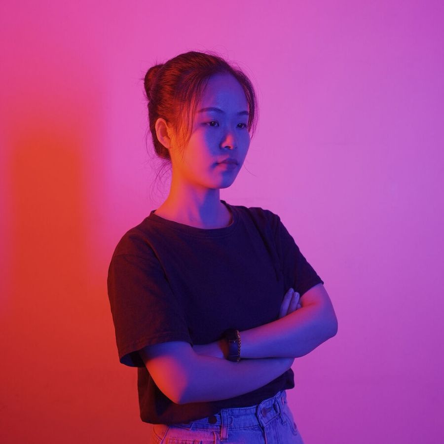 Bastão de LED RGB Yongnuo YN660LED com 2 baterias, carregador duplo e fonte de alimentação