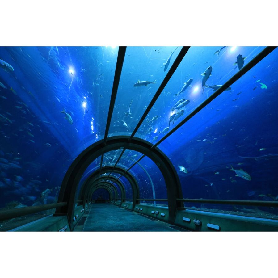 Objetiva Canon RF-S 10-18mm f4.5-6.3 IS STM