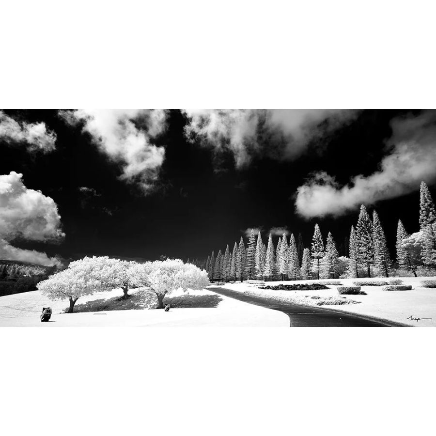 Filtro infravermelho (R72) Hoya 77mm