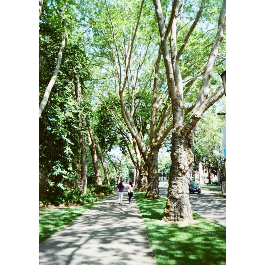 Câmera analógica compacta 35mm Kodak Ektar H35N (PRETO)