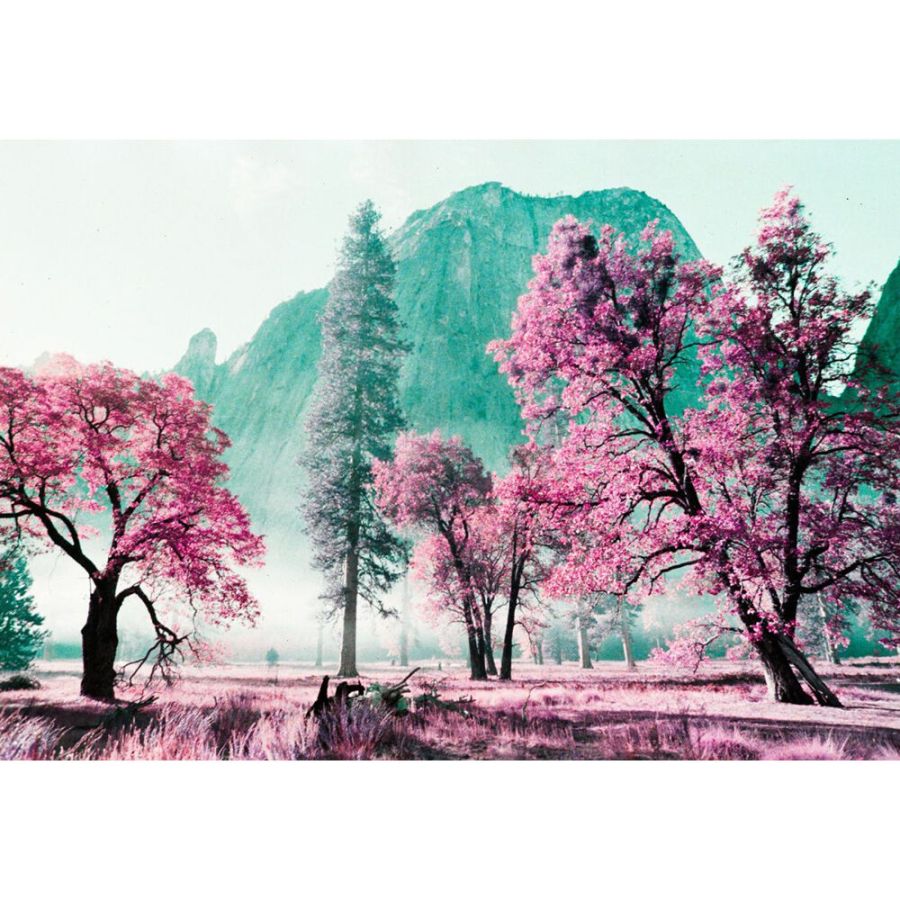 Filme fotográfico 35mm Lomography LomoChrome Purple Petillant ISO 100-400 36 poses