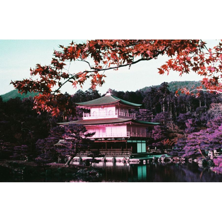 Filme fotográfico 35mm Lomography LomoChrome Purple Petillant ISO 100-400 36 poses