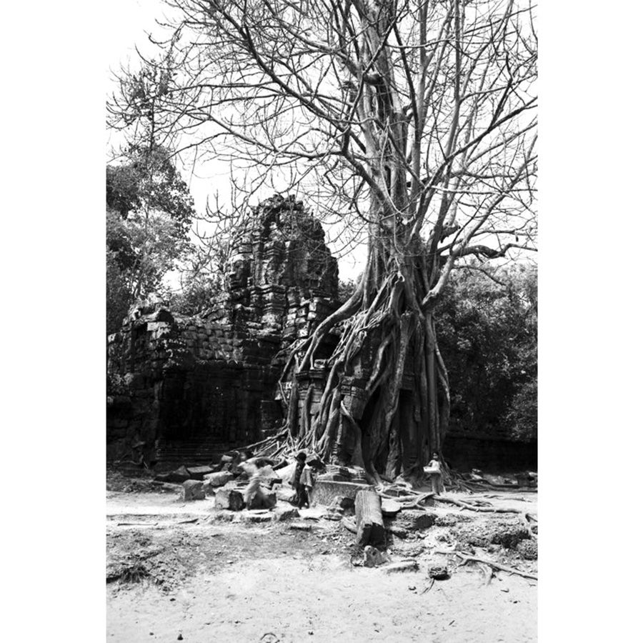 Filme fotográfico 35mm Rollei Retro 80S ISO 80 Preto e Branco 36 poses