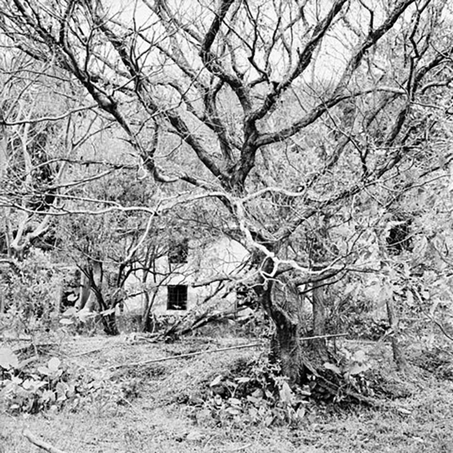 Filme fotográfico 35mm Rollei RPX 25 ISO 25 Preto e Branco 36 poses