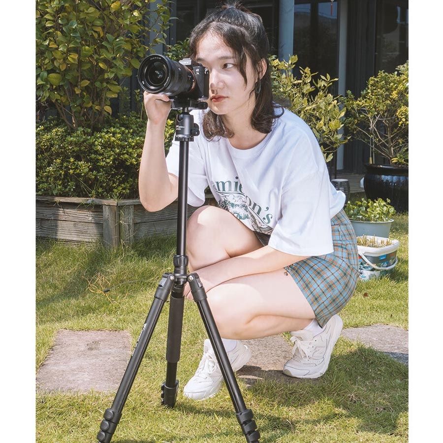 Tripé com monopé Weifeng WF WT-628 com suporte para smartphone