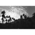 Filme fotográfico 35mm Ferrania P30 ISO 80 Preto e Branco 36 poses