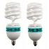 Kit de Iluminação contínua Greika AGATA III com 2 lâmpadas (220V)
