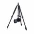 Tripé monopé Weifeng WF WT-628 com cabeça de esfera + suporte para smartphone