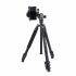 Tripé monopé Weifeng WF WT-628 com cabeça de esfera + suporte para smartphone