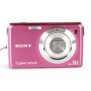 C&acirc;mera compacta Sony Cyber-shot DSC-W220 - USADO (J0602F)