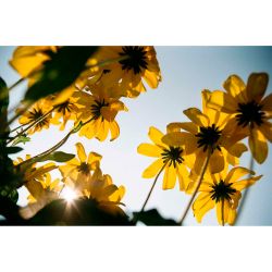 Filme fotográfico 35mm Kodak Kodacolor ISO 100 Colorido 36 poses