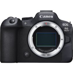 Câmera mirrorless Canon EOS R6 Mark II + Gaiola SmallRig 4159