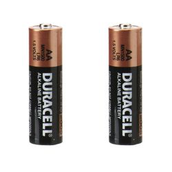 Pilha alcalina Duracell AA MN1500B2 cartela com 2 unidades